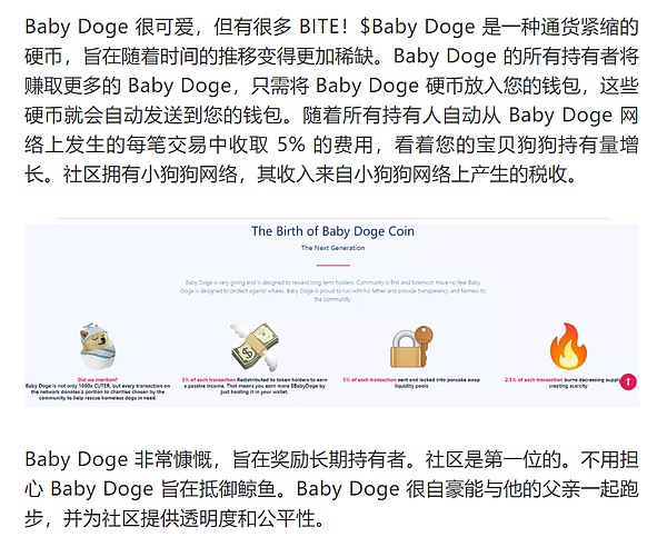 babydoge倡导慈善爱狗救助 让狗宝宝有个美好的家园