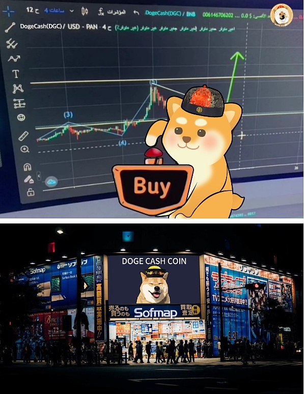 meme币热度仍不减退 doge的纪念币doge cash上市 金色财经