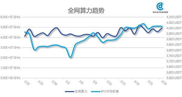 Chaindigg BTC数据周报(2019年第11期 总第23期）