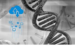 区块链将加速医学领域发展 预计五年内将被用于基因数据储存