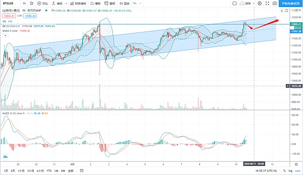 探币校尉 再探100点机不可失 08 10日内分析 要闻 指股网