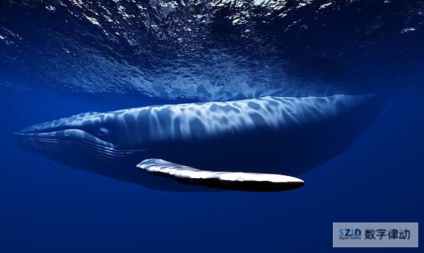比特币巨鲸囤积6万枚BTC创单日记录，历史数据回测7月大行情